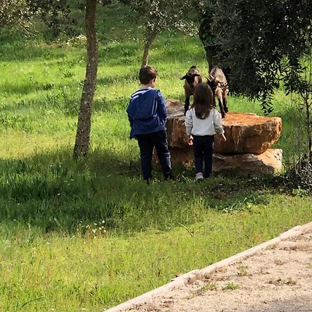 Casas Da Ladeia - Villa 1 Alvorge Bagian luar foto